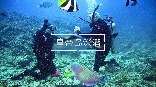 球球大作战下载最新版